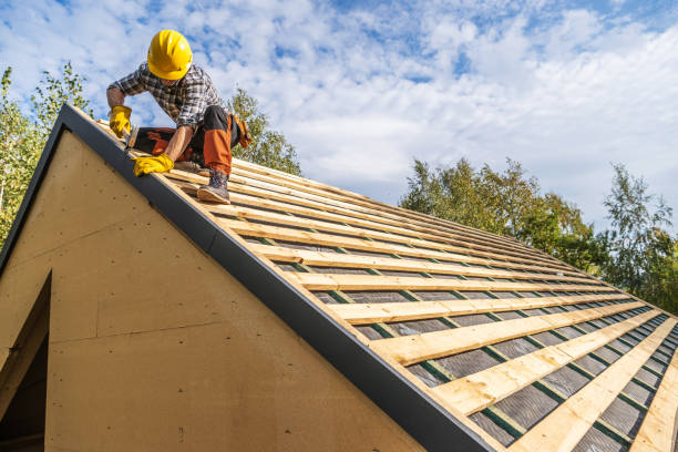 Best Roof Maintenance Services  in Wisr, NE